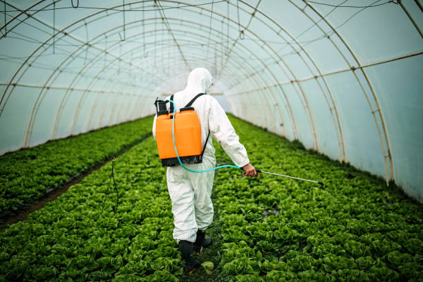 Pest Prevention Services in Hartford, SD