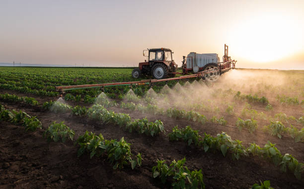 Best Insect Control  in Hartford, SD