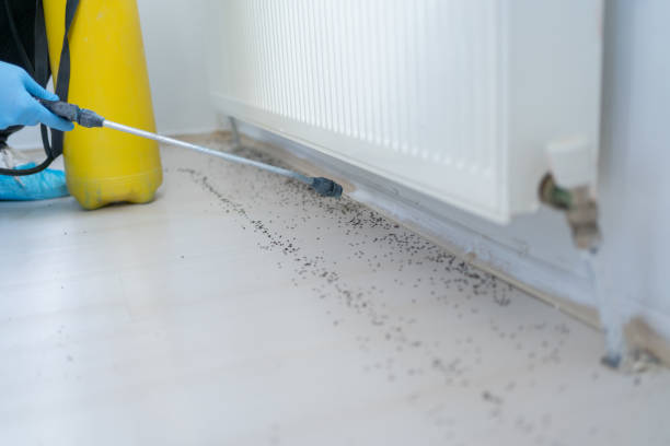 Best Wildlife Control Services  in Hartford, SD